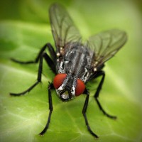 /album/dolce-zucchero/photolia-a01-jpg/