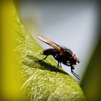 /album/dolce-zucchero/photolia-a04-jpg/