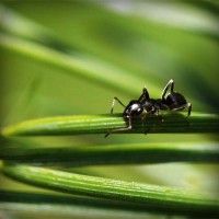 /album/dolce-zucchero/photolia-a05-jpg/