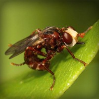 /album/dolce-zucchero/photolia-a06-jpg/