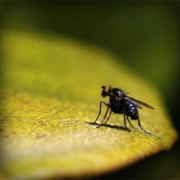 /album/dolce-zucchero/photolia-a07-jpg/